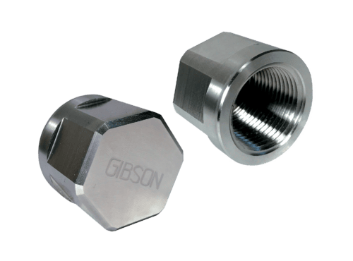 Stainless Steel Conduit Caps
