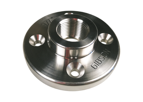 Stainless Steel Floor Flanges
